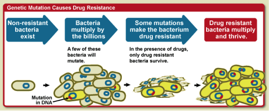 Redrawing the Battle Plan Against Antibiotic Resistant Bacteria
