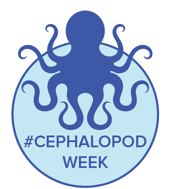 CephalopodWeek2016_Bug_Large