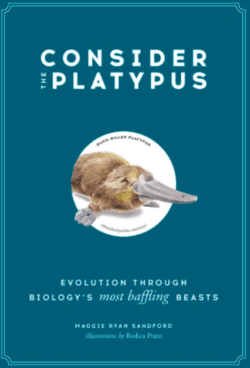 Consider the Platypus - book cover cropped