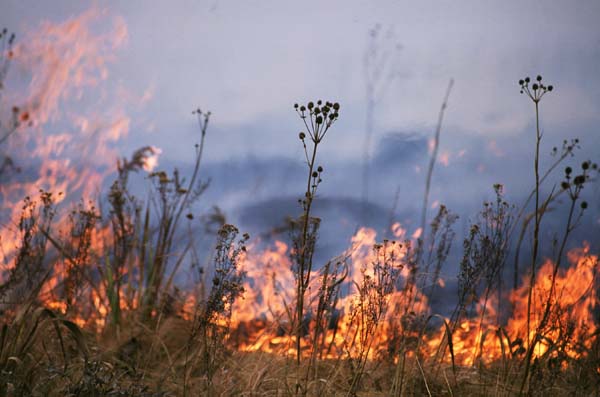 prairie burning