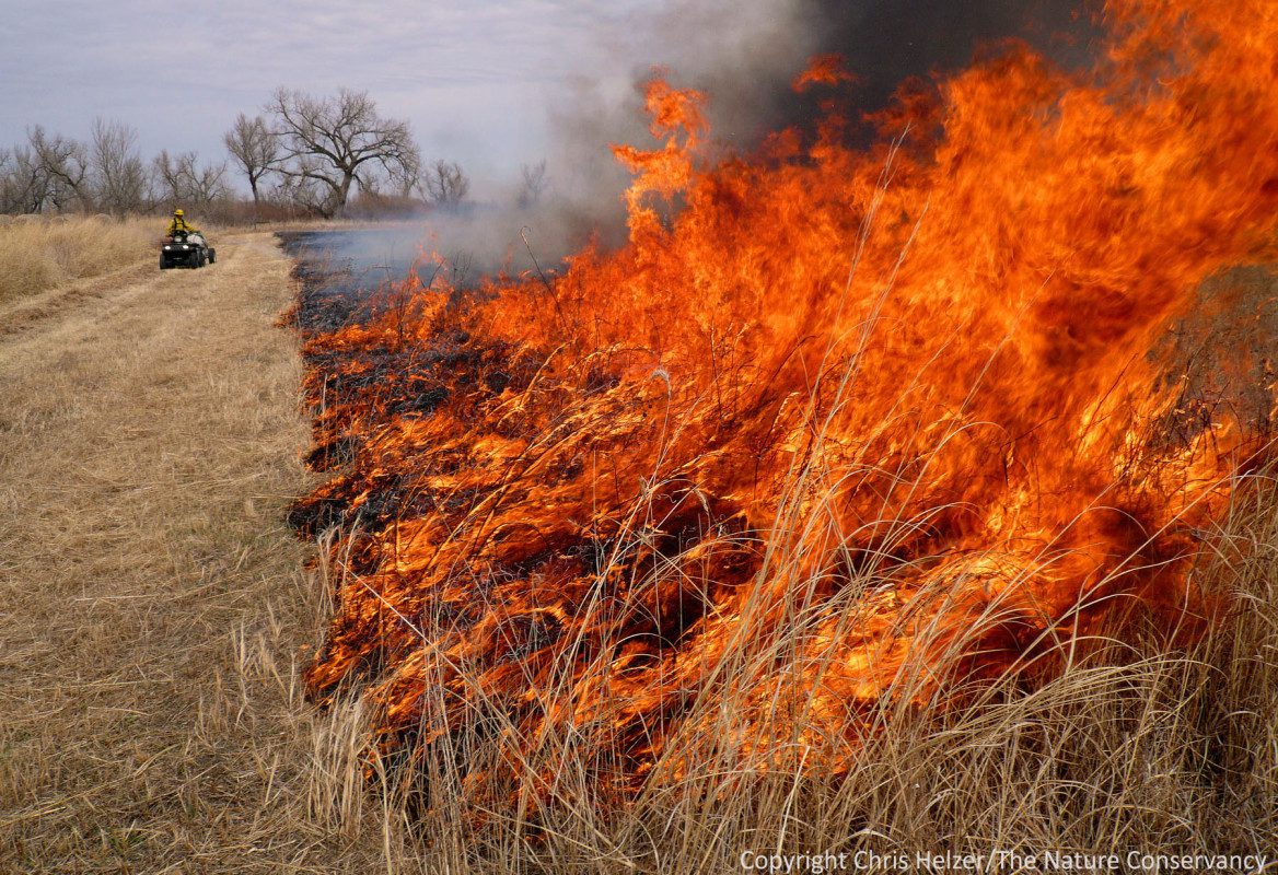 prairie burning