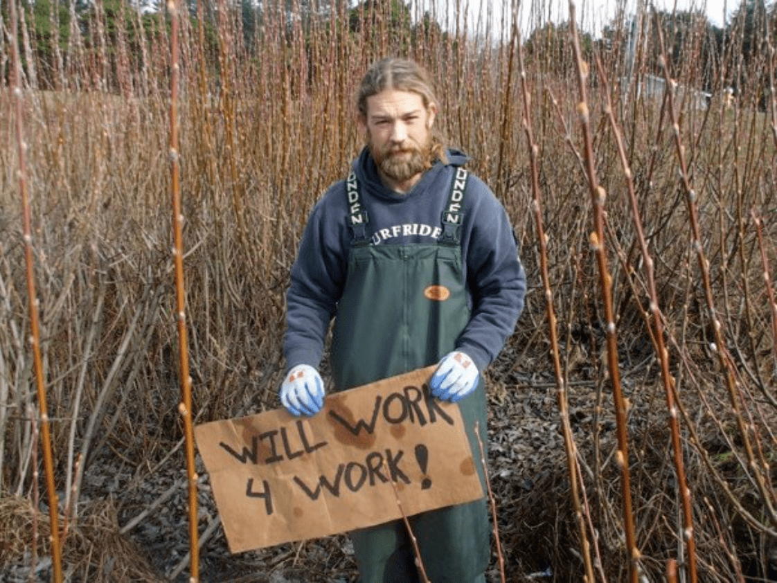 The Citizen Scientist