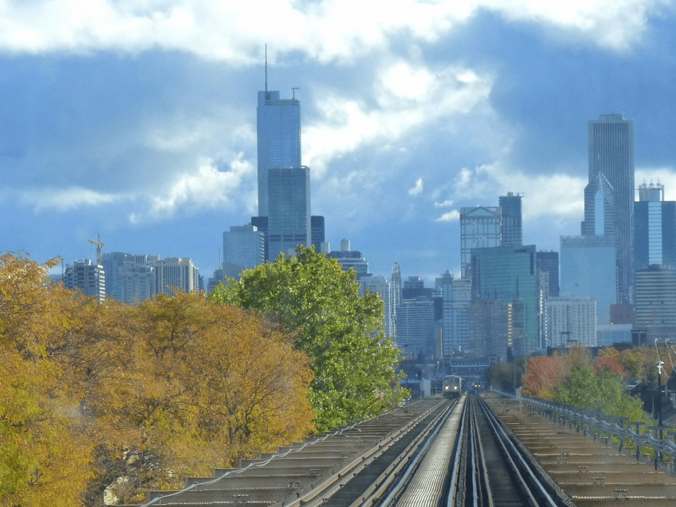 An urban forest in the Chicago Area. By yooperann (https://www.flickr.com/photos/yooperann/)