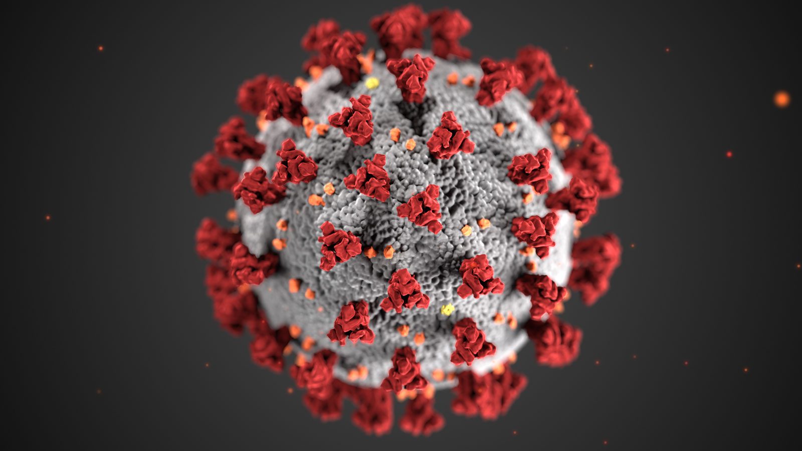 COVID-19 Virus FDA