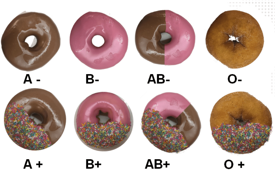 Blood Types and Donuts: How Blood Typing Works and Why it Matters