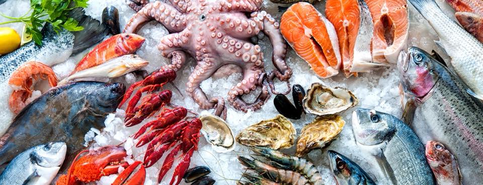 seafood