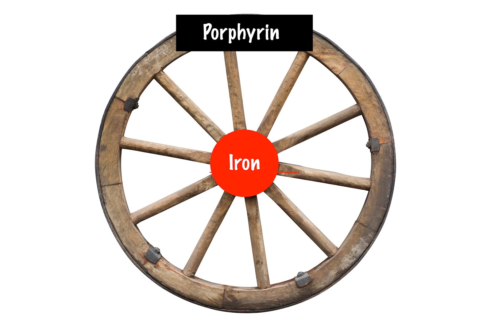 what's in an impossible burger. Edited wagon wheel to mimic heme molecule. Unedited wagon wheel from AIFEATI/ iStock by Getty Images.
