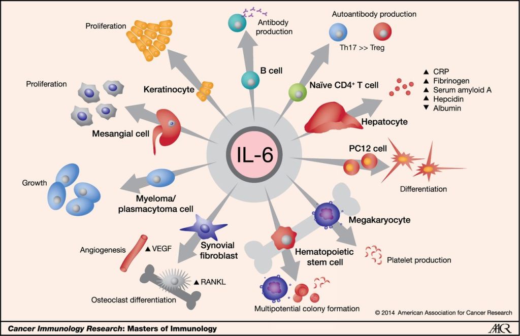 The Discovery of Cytokines: A Revolution in Our Understanding of the Human Body