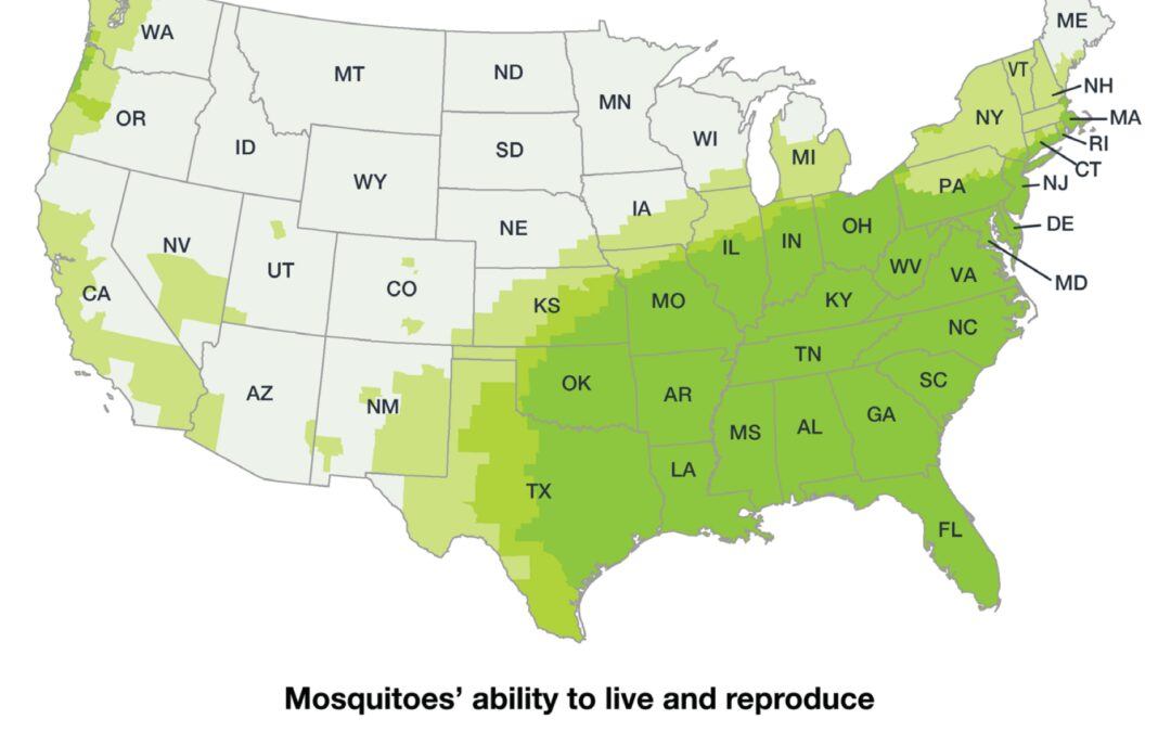 The Push: Human Migration and Mosquito-Borne Disease