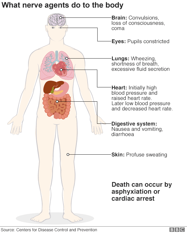 Chemical Warfare: an Assault on your Nervous System