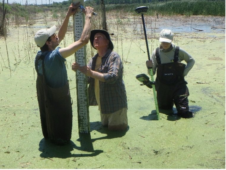 Three people wearing hip waders standing in green marsh water installing a measuring pole.