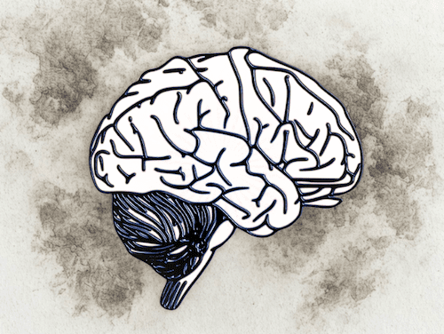 outline of a human brain on a blurred gray background