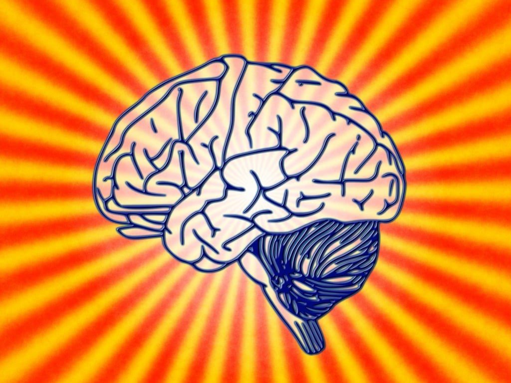 brain graphic with orange and yellow rays – copyright free Graphic outline of a human brain in blue with orange and yellow rays streaming out of it to represent the emotional brain